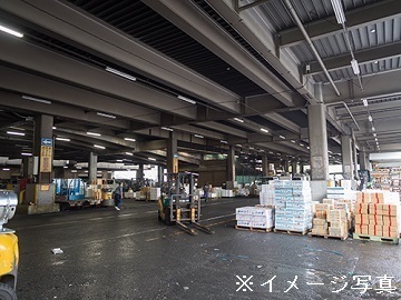 東京新宿ベジフル世田谷株式会社-2