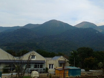 福岡県直方市×酪農・肉牛×法人【36389】-top