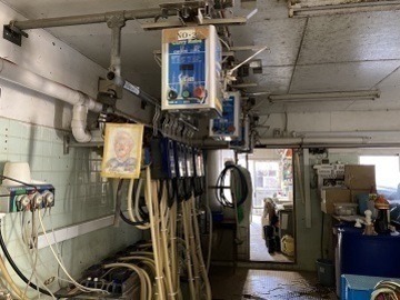 福岡県直方市×酪農・肉牛×法人【36389】-3