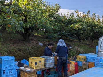株式会社田中農園-4
