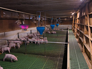 有限会社鮭川ピッグファーム-top