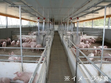 鹿児島県薩摩川内市×養豚/法人【43898】-1