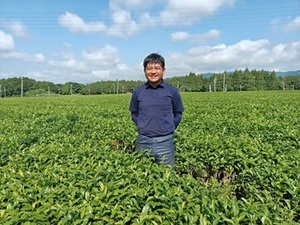 渡邊茶園(愛知)-top