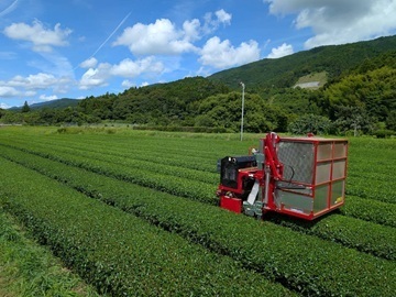 渡邊茶園(愛知)-1