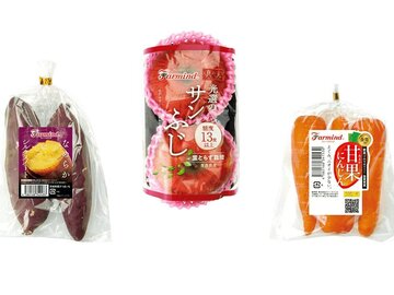 株式会社ファーマインド【東京都:受注業務】-1