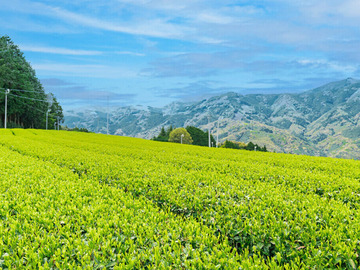 Blue Farm株式会社-7