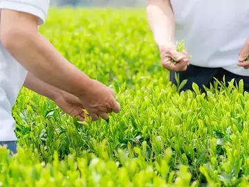 Blue Farm株式会社-4