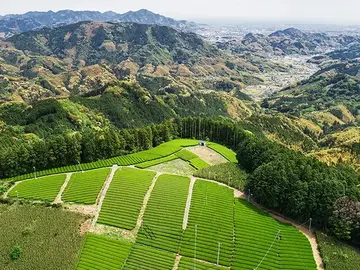 Blue Farm株式会社-2