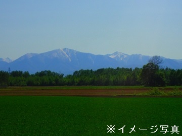 山形県鮭川村×養豚/法人【43913】-2