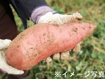 株式会社創進農場-6