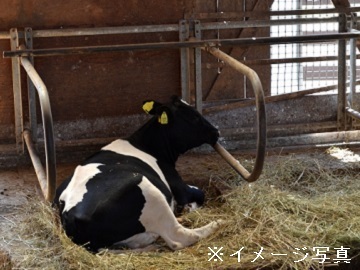 北海道士幌町×肉牛/法人【43919】-1