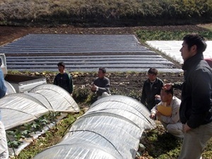 有限会社石川鉄造種苗店-top