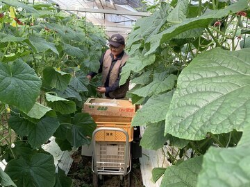 有限会社川越農産-3