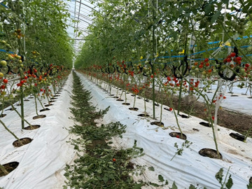 株式会社大家ファーム-7