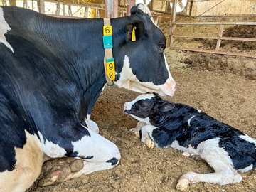 株式会社ビッグインファーム-1