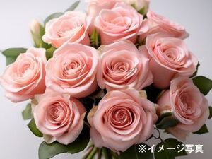 東京都世田谷区×生花営業/法人【43935】-top