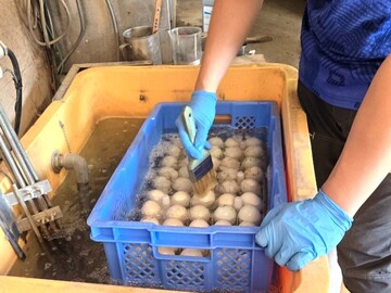 株式会社浜田商店-4