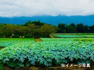 稲垣 敏行-1