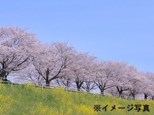 埼玉県熊谷市×緑化事業担当者/法人【43946】-top