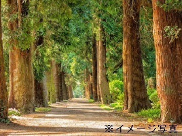 埼玉県熊谷市×緑化事業担当者/法人【43946】-1
