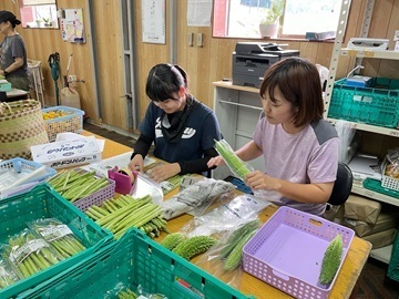 株式会社エスタンシア-6