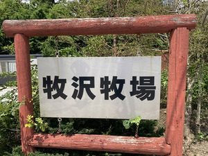 牧沢牧場-top