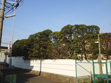 秋山造園有限会社-4