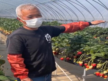 2代目すとろべりーふぁーむおおつか-5