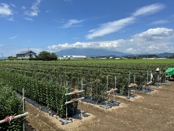 ティー・エフ・シー東京フロリネット株式会社-6