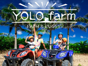 YOLO-top