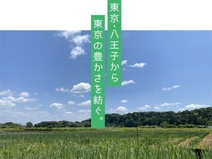 Y-FARM-top