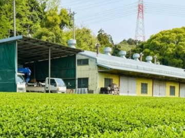 ぐり茶の五十鈴園-2