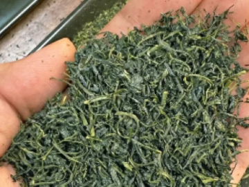ぐり茶の五十鈴園-3