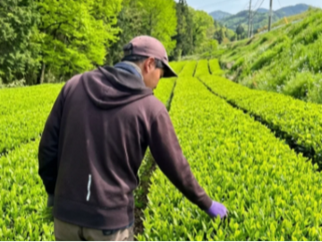 ぐり茶の五十鈴園-5