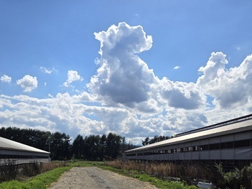 有限会社藤井牧場-1