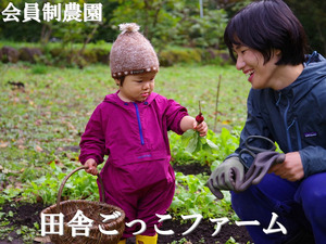 株式会社コンサント(田舎ごっこファーム)-top