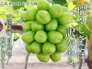 有限会社松幸農産-8