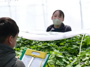 とうや湖農業協同組合-3
