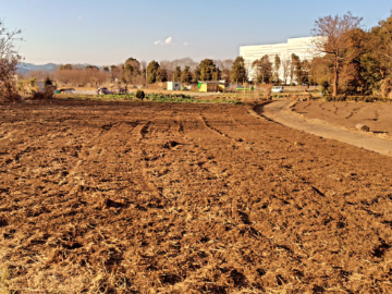 Y-FARM-6