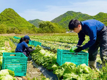 青空株式会社-7