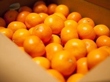農業生産法人 有限会社夢クラブ泉源-3