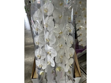 株式会社庄内生花市場-4
