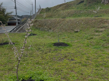うまい農園-4