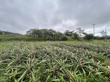 株式会社touki-2