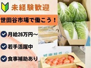 東京新宿ベジフル世田谷株式会社-top
