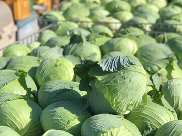 株式会社矢島農園-8