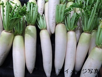 北海道千歳市×野菜/法人【33030】-1