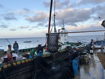 米田ファーム-5