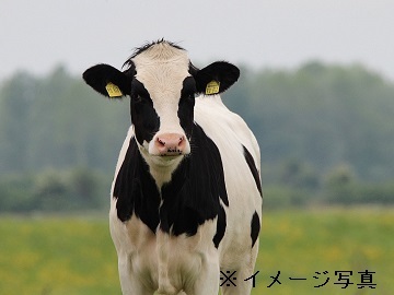 北海道×酪農/法人【44020】-top