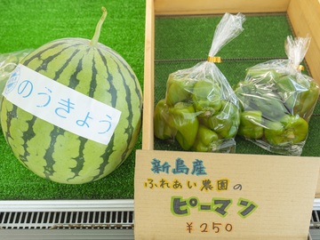 新島村(ふれあい農園スタッフ)-7